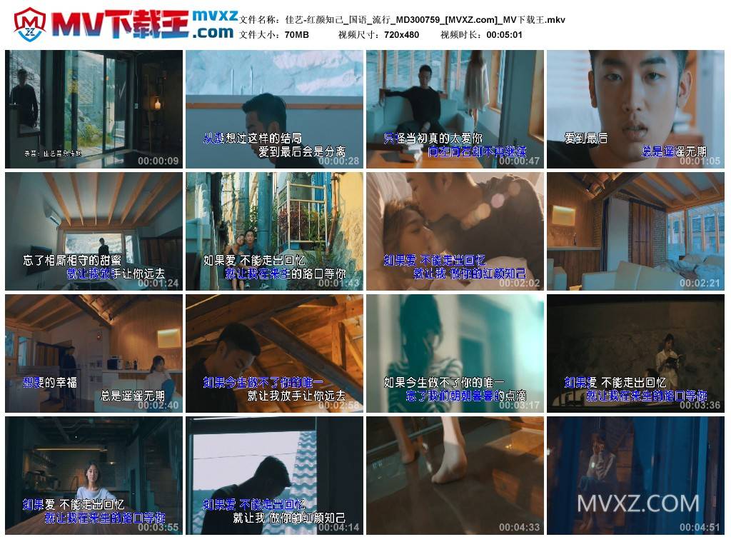 佳艺-红颜知己_国语_流行_MD300759